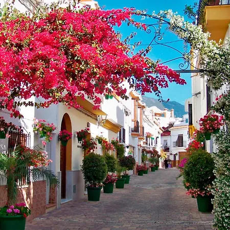 La Casa Del Maestro Estepona