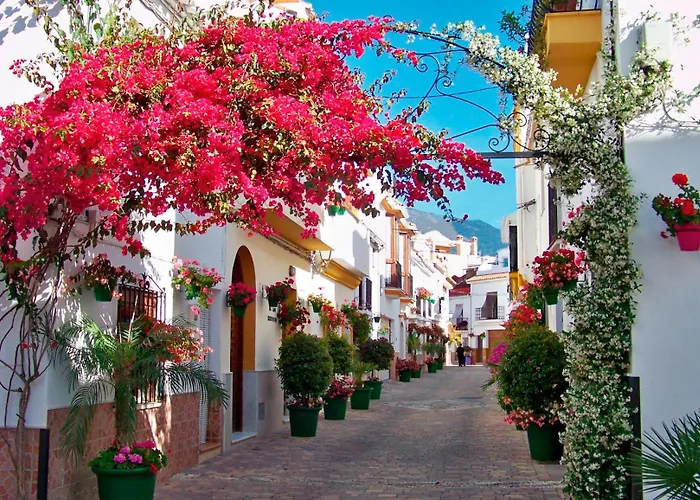 La Casa Del Maestro Estepona